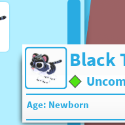 Adopt Me